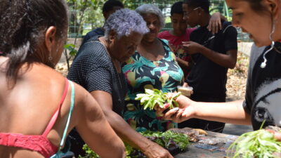 Arena Dicró inicia novo ciclo de agroecologia urbana e fortalece mobilização comunitária na Penha