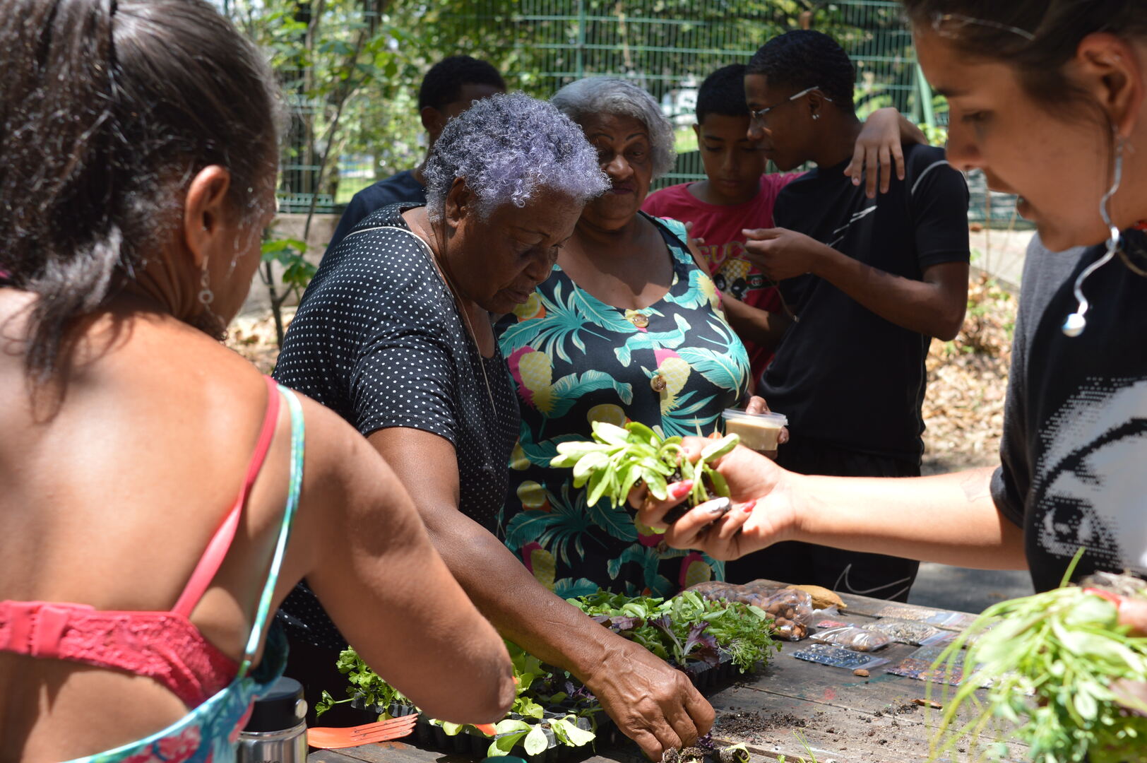 Arena Dicró inicia novo ciclo de agroecologia urbana e fortalece mobilização comunitária na Penha