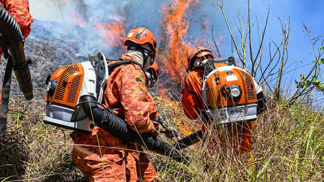 Corpo de Bombeiros registra redução de 33% nas ocorrências de incêndios em vegetação no Rio