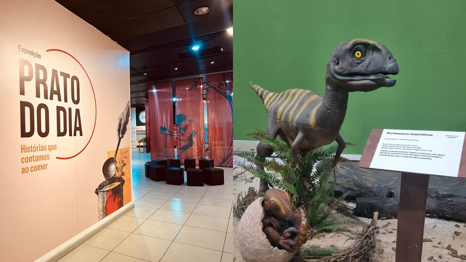 Museu Ciência e Vida prepara programação especial para o Dia das Crianças com novas experiências científicas