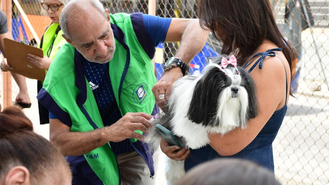 Nova Iguaçu vacina cães e gatos contra a raiva neste sábado (17)